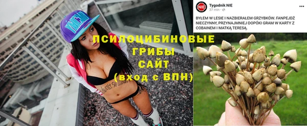 твердый Осинники