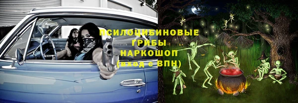 mdpv Няндома