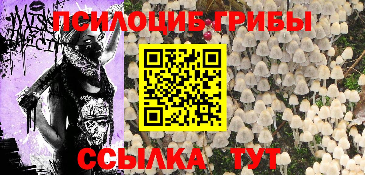 Гашиш Кондопога