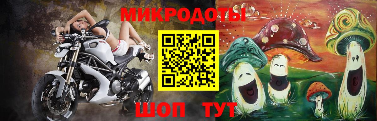 Галлюциногенные грибы MAGIC MUSHROOMS Кондопога