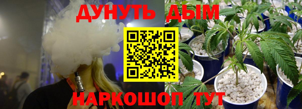 Кондопога  Каннабис планчик  Бошки Шишки ГИДРОПОН  Вход с VPN 